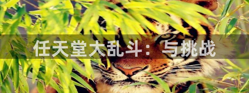 蓝图娱乐官网娱乐测速官网