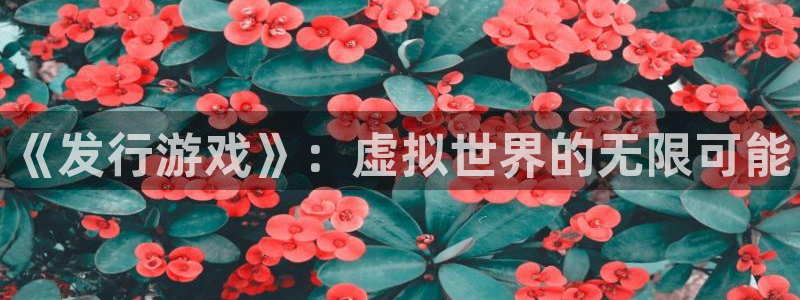 广东蓝图娱乐官网电子科技有限公司：《发行游戏》：虚拟世界的无限可能