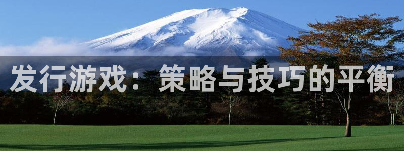 蓝图娱乐官网防水的质量怎么样：发行游戏：策略与技巧的平衡