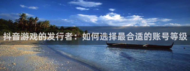 蓝图娱乐登录注册：抖音游戏的发行者：如何选择最合适的账号等级