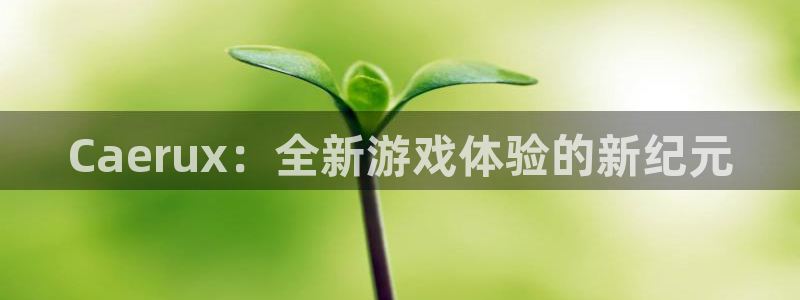 蓝图娱乐代理注册不了：Caerux：全新游戏体验的新纪元