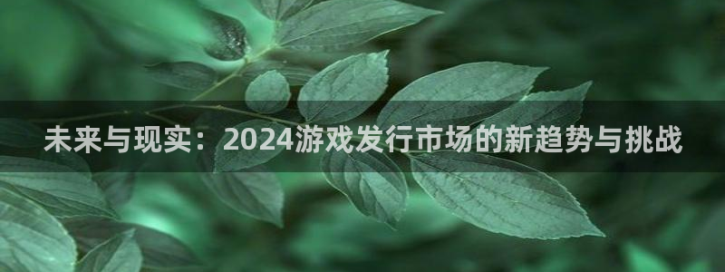 法国蓝图娱乐官网lvnces是奢侈品吗：未来与现实：2024游戏发行市场的新趋势与挑战